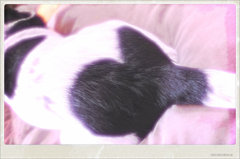 to you・・・・