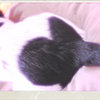 to you・・・・