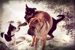 Be my friend!!