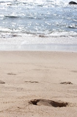 footprint