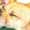 ｚｚｚｚｚ・・・・・