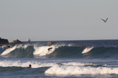 surfing