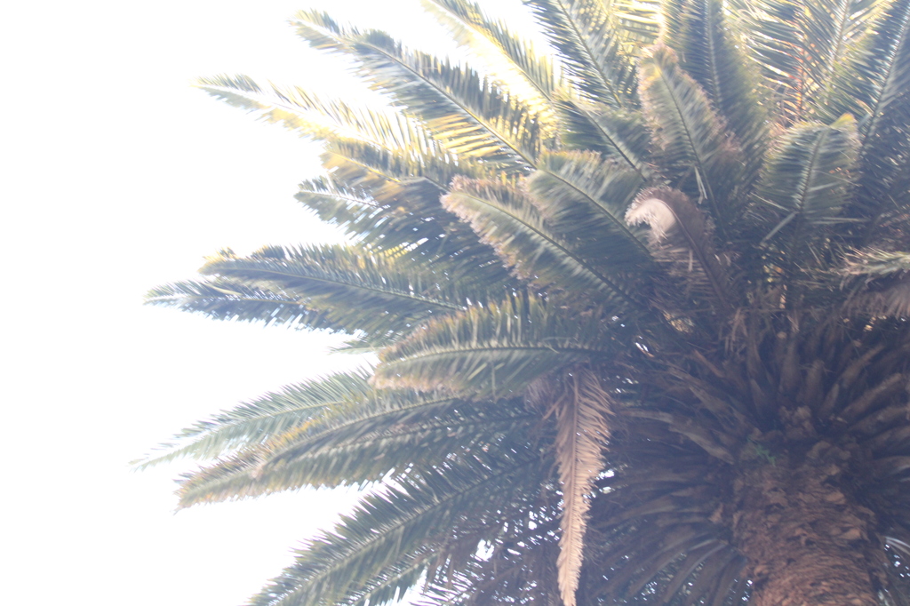 spiky