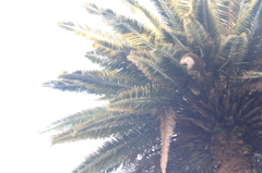 spiky