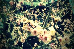 FxCam_1332987627487