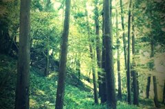 FxCam_1332987308013