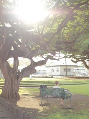 break in the park