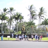 KAMEHAMEA THE GREAT