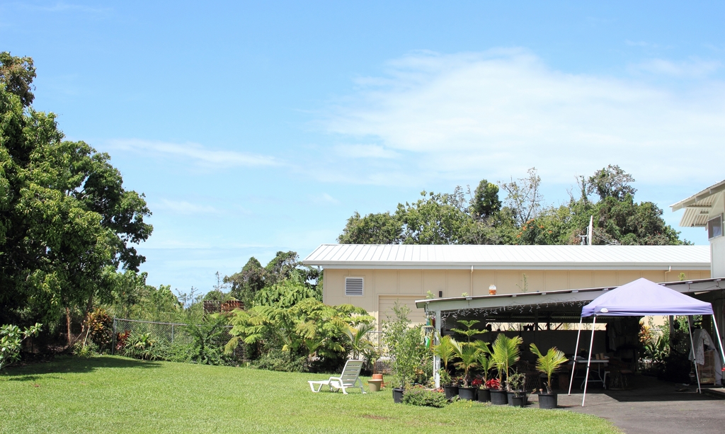 Hawaiian house