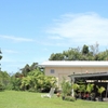 Hawaiian house