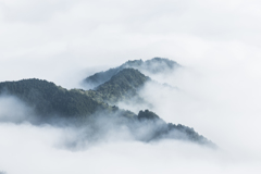 雲海