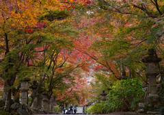 法華寺