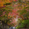 法華寺