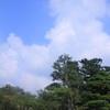 兼六園・夏