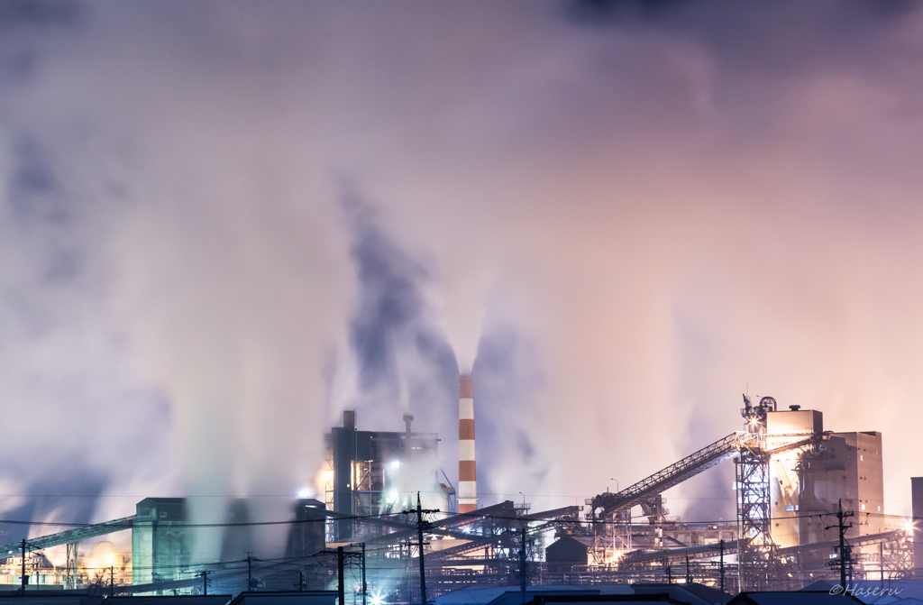 Pulp Factory