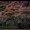 大龍寺庭園