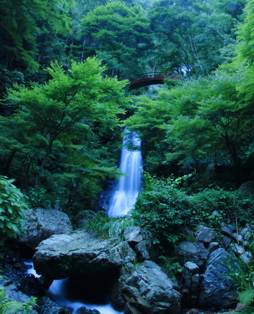 深緑の滝
