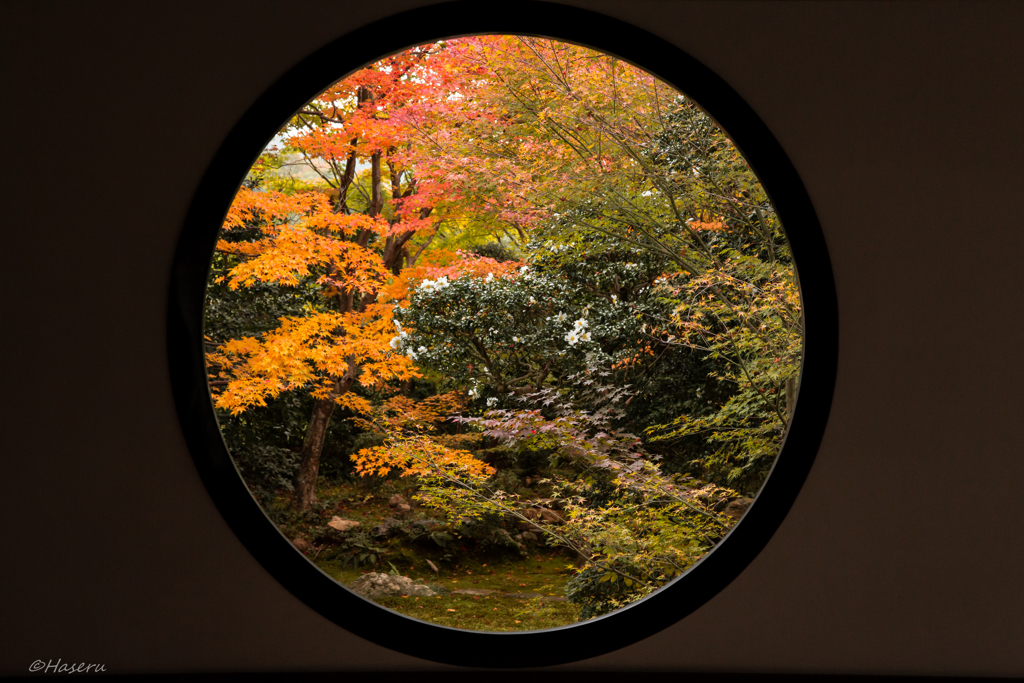 悟りの窓