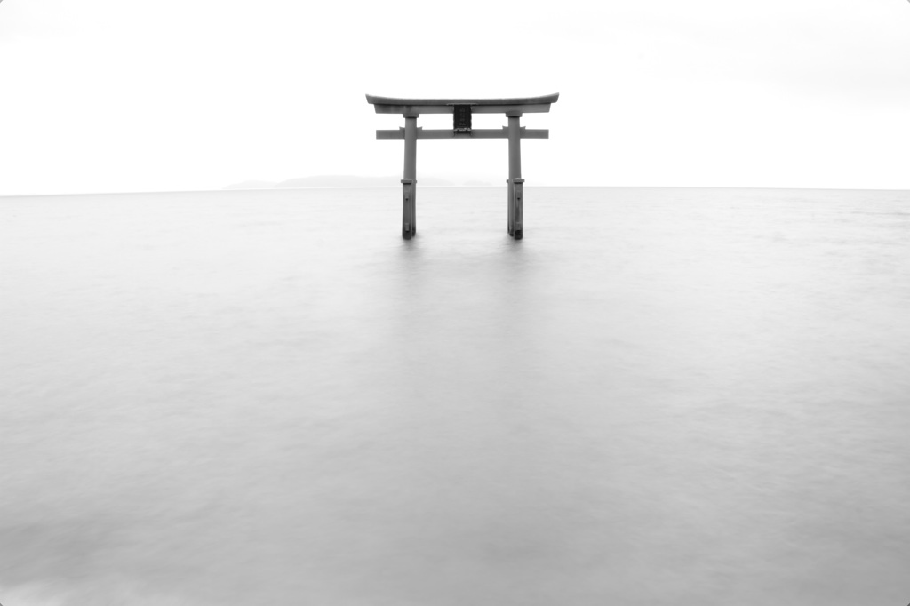 白の世界