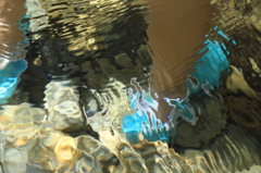 Transparent mosaic