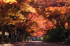 法華寺　便り