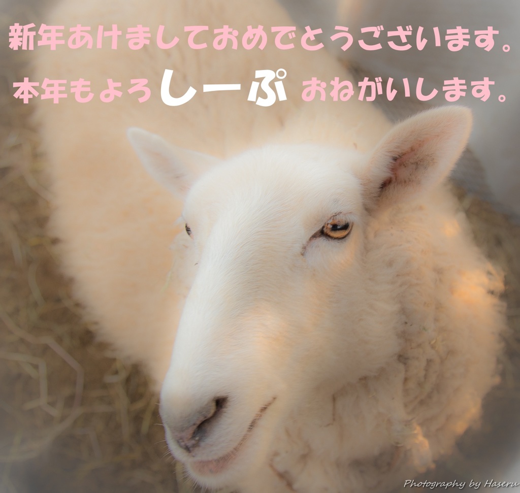 あけましておめでとうございます。