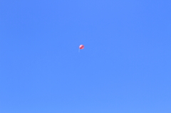 青空に風船ひとつ