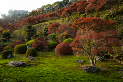 大龍寺