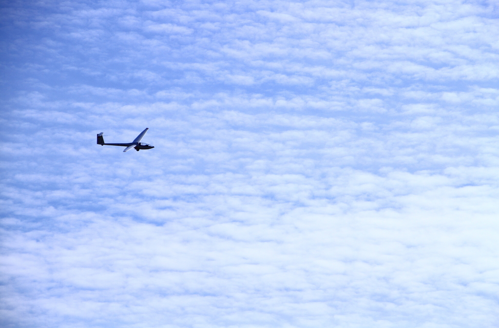 GLIDER flying in cloud 