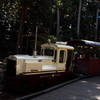 赤沢森林トロッコ列車