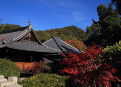 寂光院