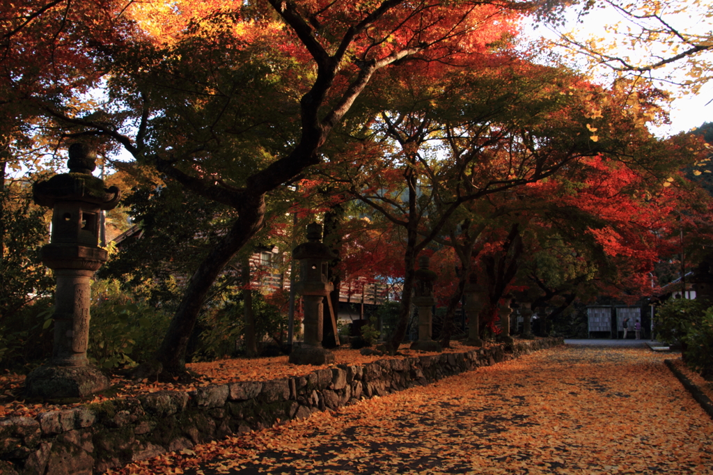 法華寺