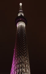 Tokyo Sky tree 雅