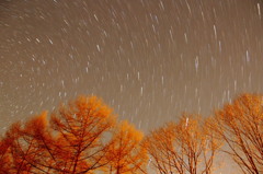 初星撮影