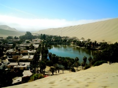 the oasis