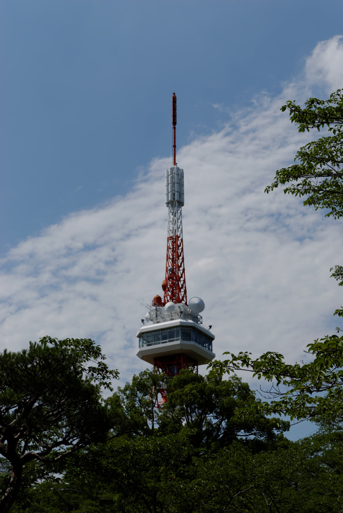 DSC_0290_DxO