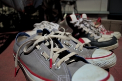 日光浴するスニーカー達