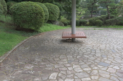 D810 サンプル3