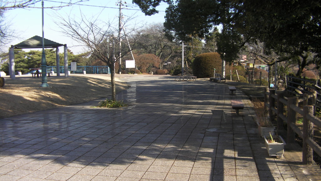 SANY0037