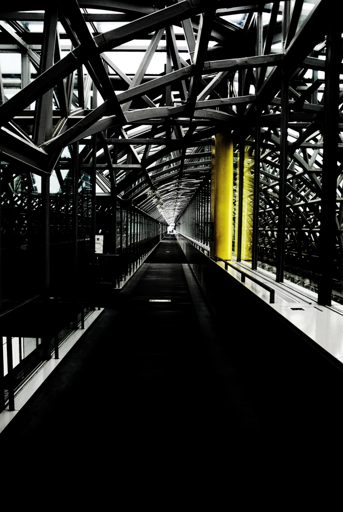 誰も通ってなくて