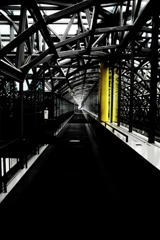 誰も通ってなくて