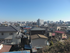 比較カシオｚ100