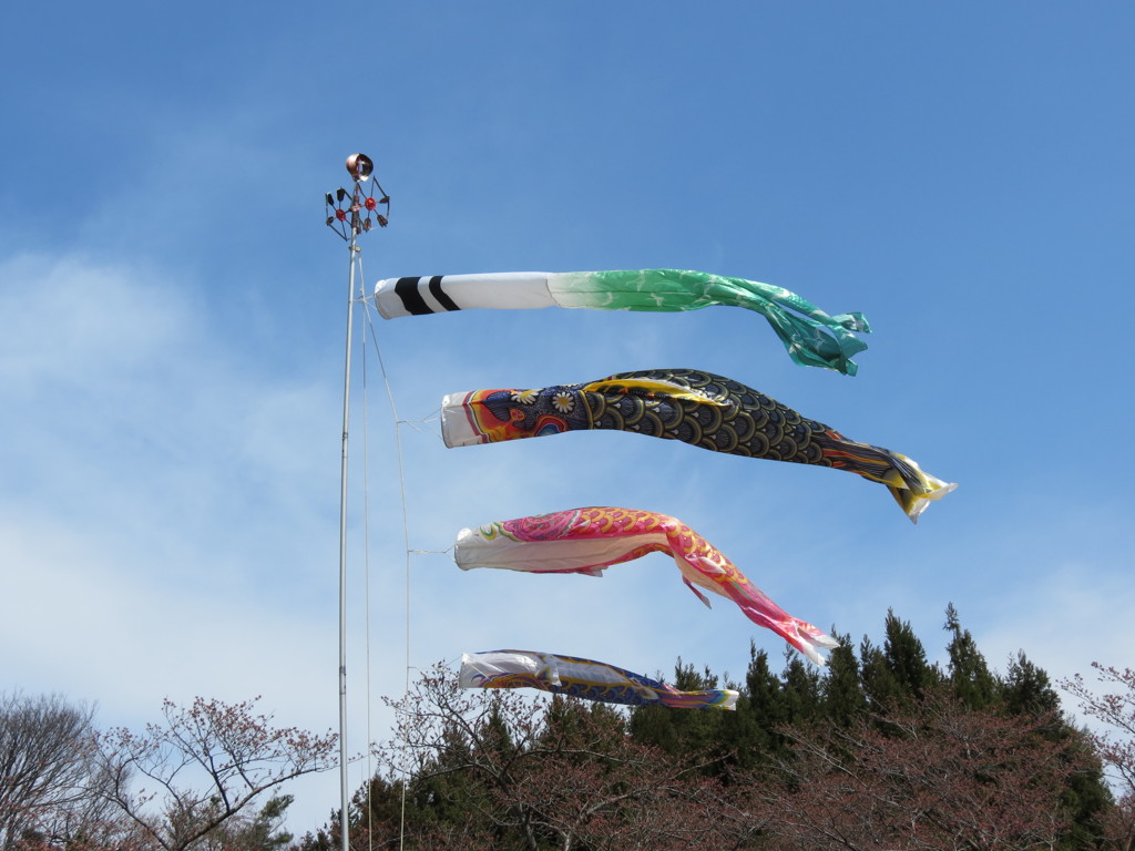優雅に泳げ