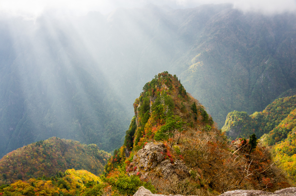 大台ケ原３