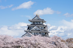 桜に浮かぶ城