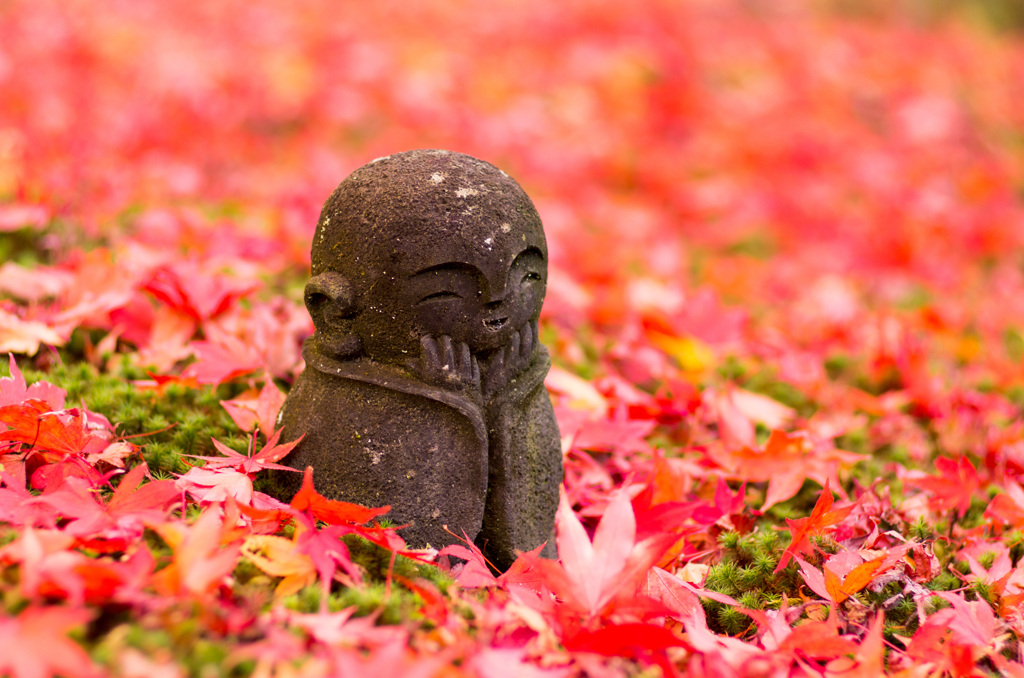 圓光寺の小さなお地蔵さん
