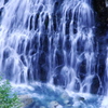 白ひげの滝