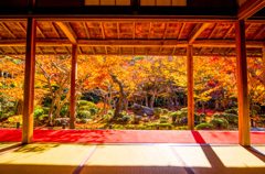 圓光寺の額縁庭園