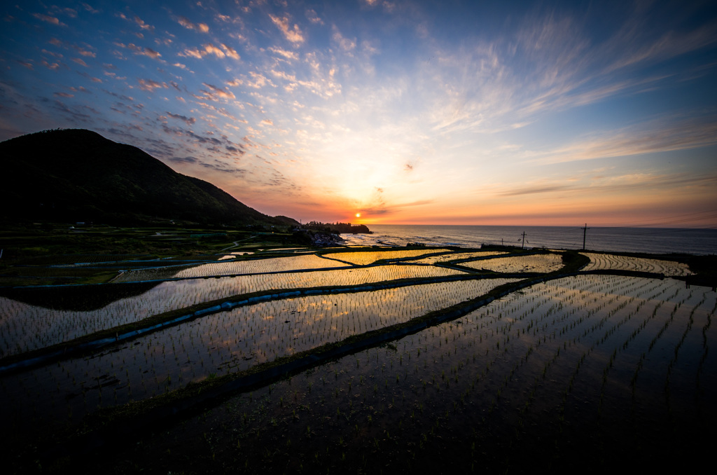 袖志の棚田