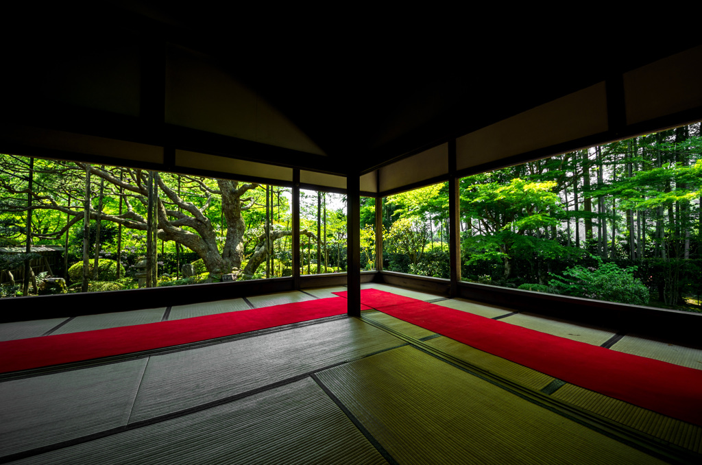 新緑の宝泉院